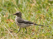 ������� ����������. ���� ��������� � ������. ������ 2014 ����